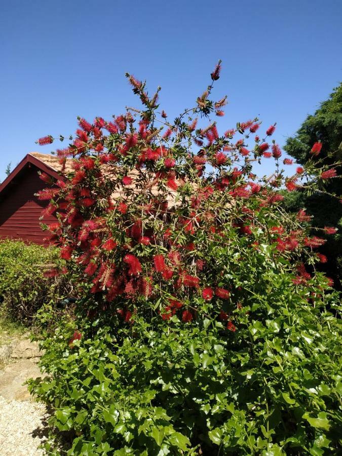 Willa Cabin In The View Hararit Zewnętrze zdjęcie